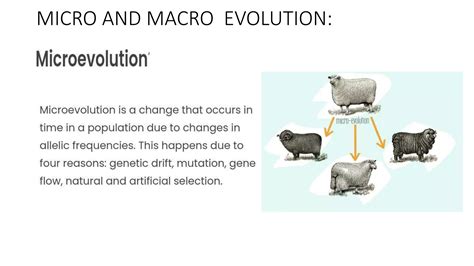 Evolution ( Macro and Micro Evolution).pptx