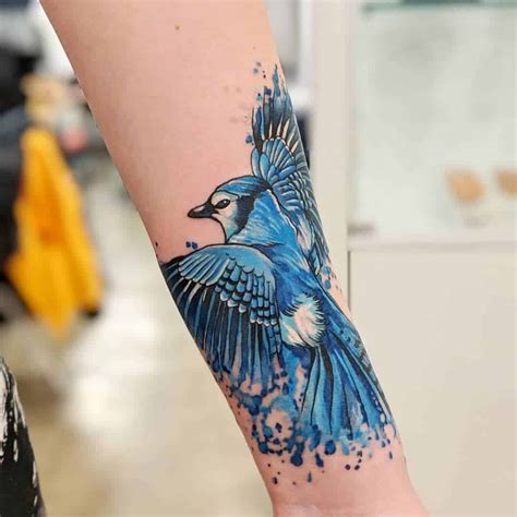 Blue Jay Tattoo Images at Jason Criner blog