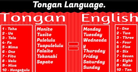 Image result for Matrix Shell Styles