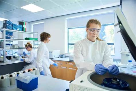 Image result for DNA Barcoding Flow Chart