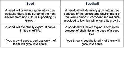 Seeds vs Seed balls - THOA