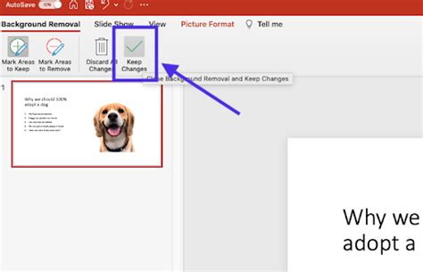 Image result for Remove Background PowerPoint
