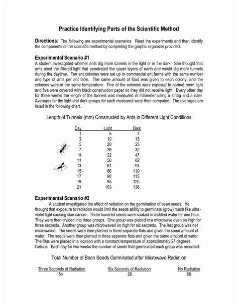 Plains Communal Hunting Methods & Sites