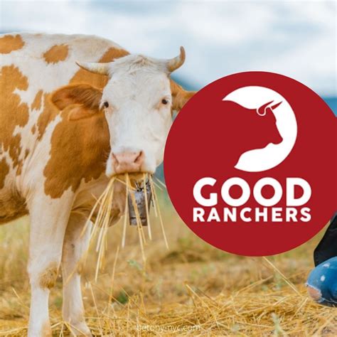Good Ranchers Review - Is It Worth It? - Betony