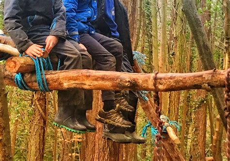 Climb That Tree 的图像结果