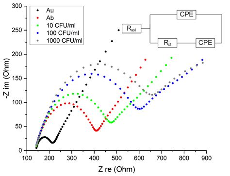 Direct Detection of Candida albicans with a Membrane Based ...