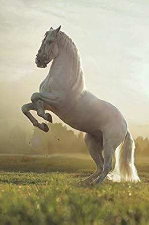 White Horse July Notebook & Journal. Productivity Work Planner & Idea ...