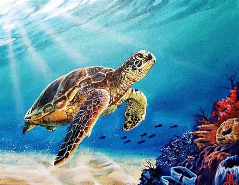 Image result for Beginner Turtle Art Tutorial