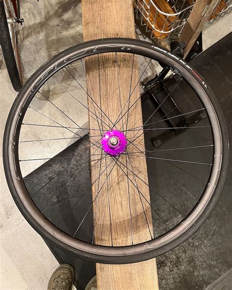 【HED.】BELGIUM R DISC RIM | Humhumhug Online Shop