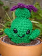 Image result for Amigurumi Cactus