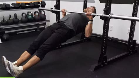 Image result for Inverted Row Exercise