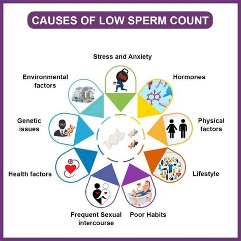 Low Sperm Count Treatment in Punjab | Low Sperm Count Treatment Doctor in Ludhiana