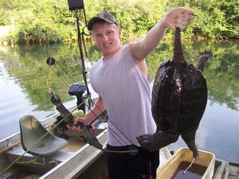 Image result for Snapping Turtle Cleaning