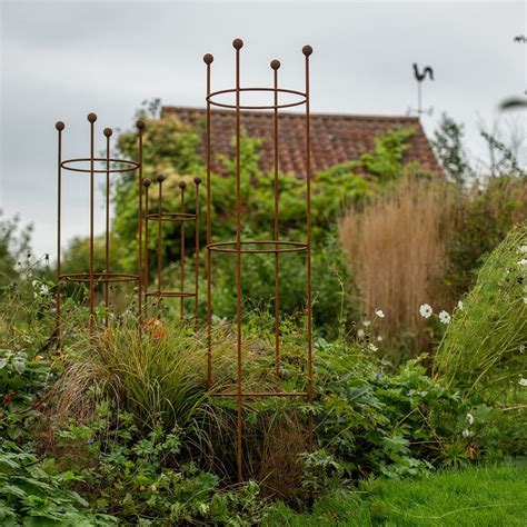 Buy Castle plant support frame set of 3 - rust: Delivery by Waitrose Garden