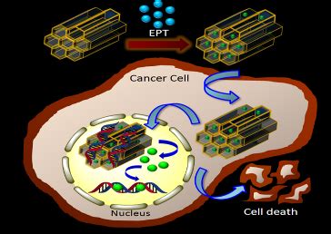 Home [sites.iiserpune.ac.in]