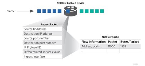 Image result for Device42 NetFlow