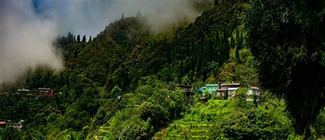 The Best Guwahati and Pobitora Tour Package for Nature & Culture Lovers