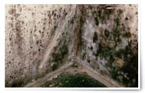 Image result for Mold Testing Santa Barbara