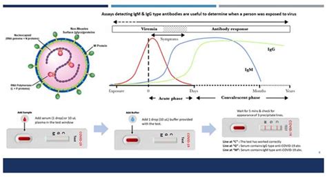 DST funded startup develops kits for testing asymptomatic COVID-19 ...