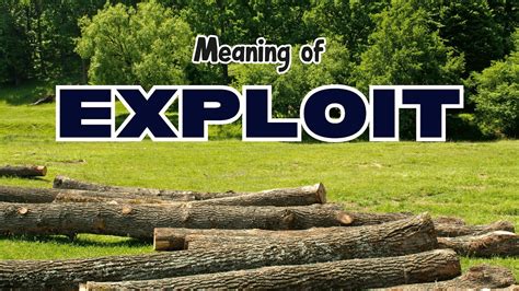 Rezultat imagine pentru Exploit Synonym