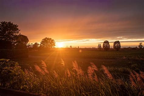 Golden sunset countryside panorama | Premium Photo