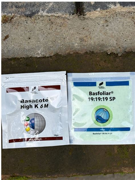 Fertilizer Combo Basacote+NPK 19 19 19 Nutrient Support 100 Gms ...