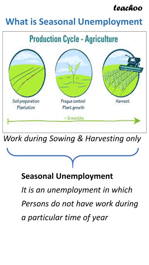 Different Types of Unemployment - with Examples [Class 12 Economics]