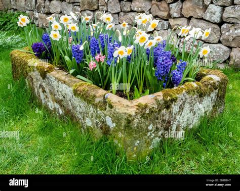 Spring trough plants hi-res stock photography and images - Alamy