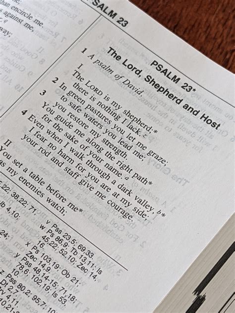 Image result for Scripture Readig