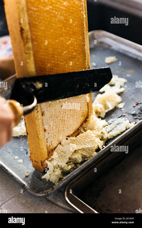 Image result for Basic Honey Processing