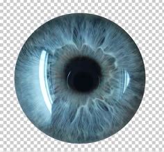 Realistic Blue Eye PNG Sticker - Transparent Background