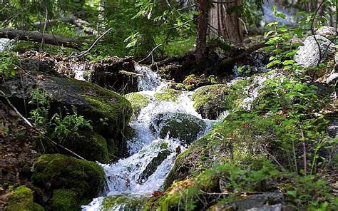 Image result for Reactive Streams Java