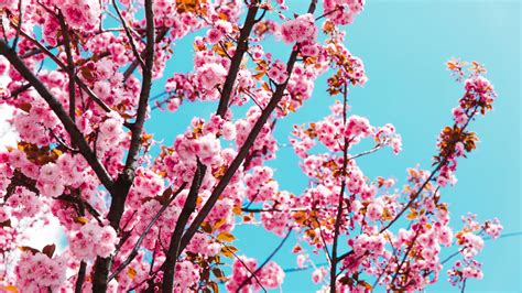 Image result for Spring Weather Vocabulary