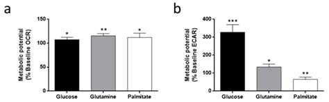 Highly Glycolytic Immortalized Human Dermal Microvascular Endothelial ...