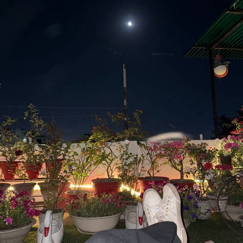 ALIBABA'S INDIANA HOMESTAY (Agra) - Hotel Reviews, Photos, Rate ...