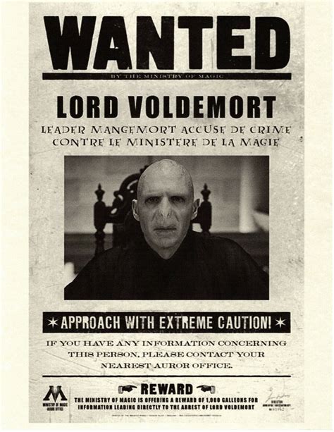 Harry Potter Wanted Poster