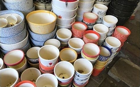 Hauz Rani Market, Malviya Nagar | WhatsHot Delhi Ncr