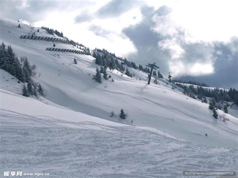 滑雪场 的图像结果