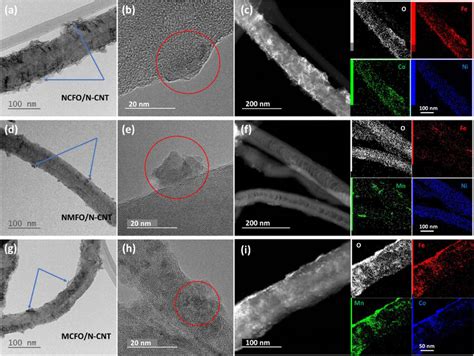 Stem OBF 的图像结果