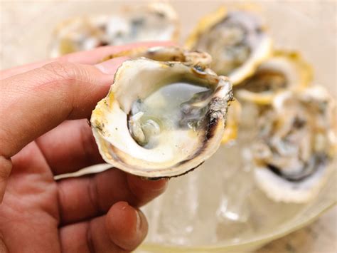 How to Eat Oysters: 8 Steps (with Pictures) - wikiHow