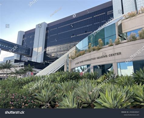 5 Mark Taper Foundation Imaging Center Images, Stock Photos, and ...