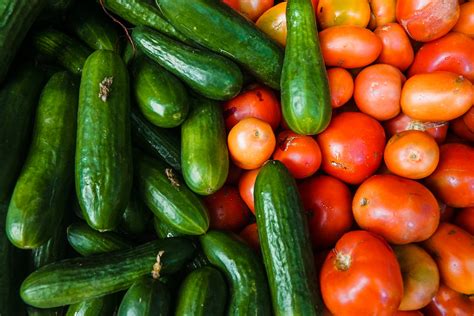 What Vegetables Can Cats Eat Raw? 21 Vegetables Safe For Cats - BloggingWithConnie