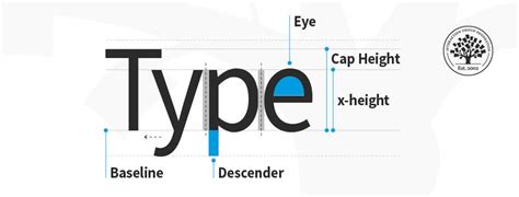 Image result for Type