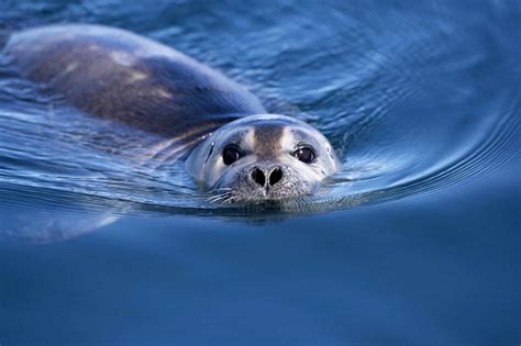Image result for Linux Python User Install