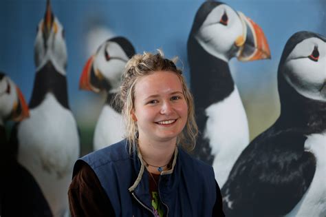 Rathlin Island’s puffins: We have quite a lot of people who arrive and ...