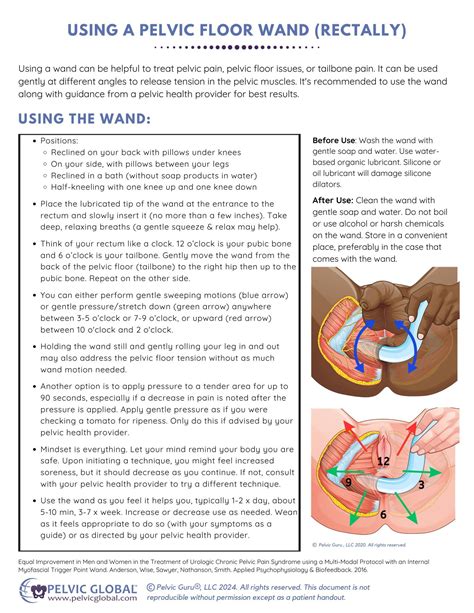 Pelvic Floor Wand - Rectal: Handouts (1)