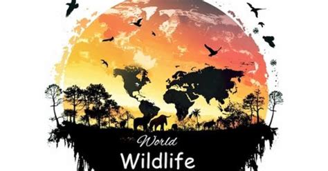 Wildlife 的图像结果