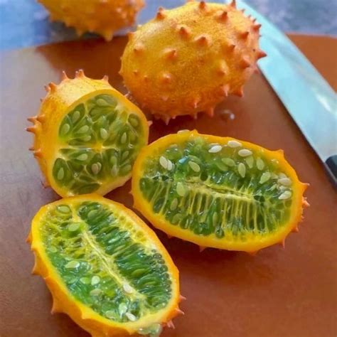 Kiwano Melon Fruit plant (Cucumis metuliferus) – veliyathgardens