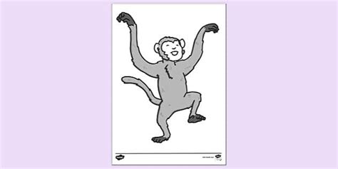 Monkey Colouring Pages | Colouring Sheets (teacher made)