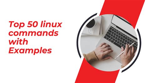 Image result for Linux Commands Examples